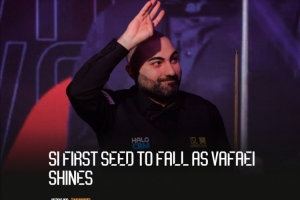 瓦菲：我在为我家乡而战 我是斯佳辉粉丝，赢下他是了不起的成就