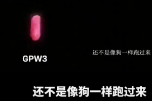 媒体人谈品牌宣发：罗技把“用户当狗” OPPO“我妈有两个“老公”” 不管控会更离谱